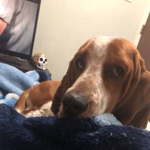 Meet your Posher, Marcos